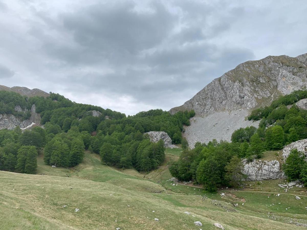 Joen Village Librazhet Екстериор снимка