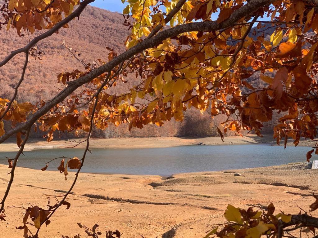 Joen Village Librazhet Екстериор снимка