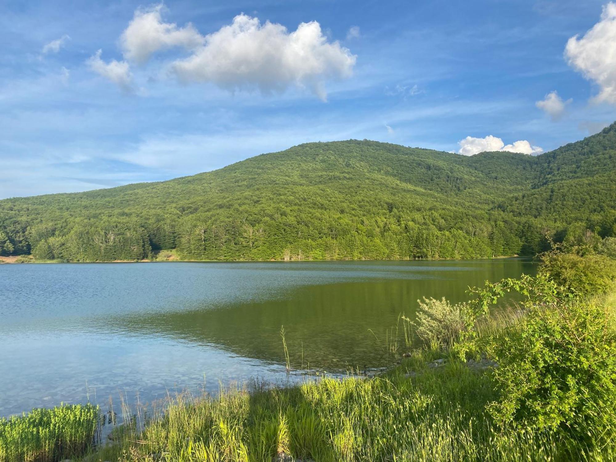 Joen Village Librazhet Екстериор снимка